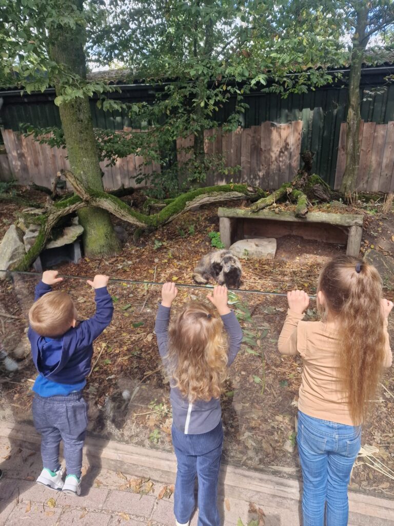 gastouderopvang kruimeltje Willemien Steenbakkers Helmond Noord Madeleintje